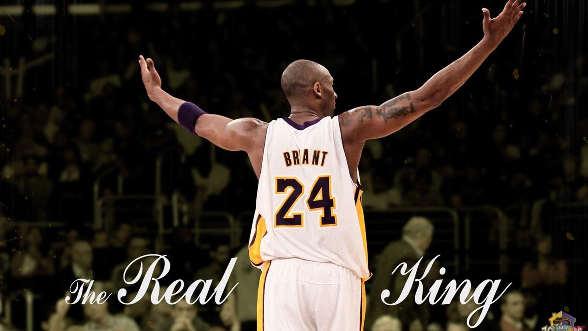 开云下载-横扫与记录,当团队铁壁遇上个人神迹